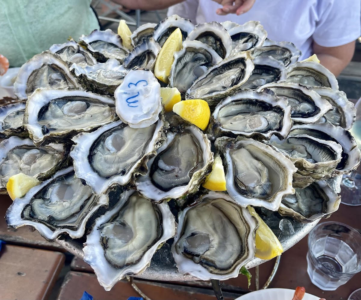 L'oyster Paysan De La Mer (Ex Catherine Roux - Cap Huitres)-3