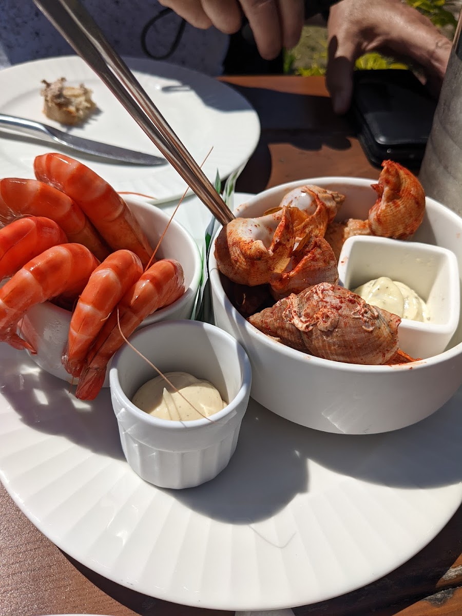 L'oyster Paysan De La Mer (Ex Catherine Roux - Cap Huitres)-7